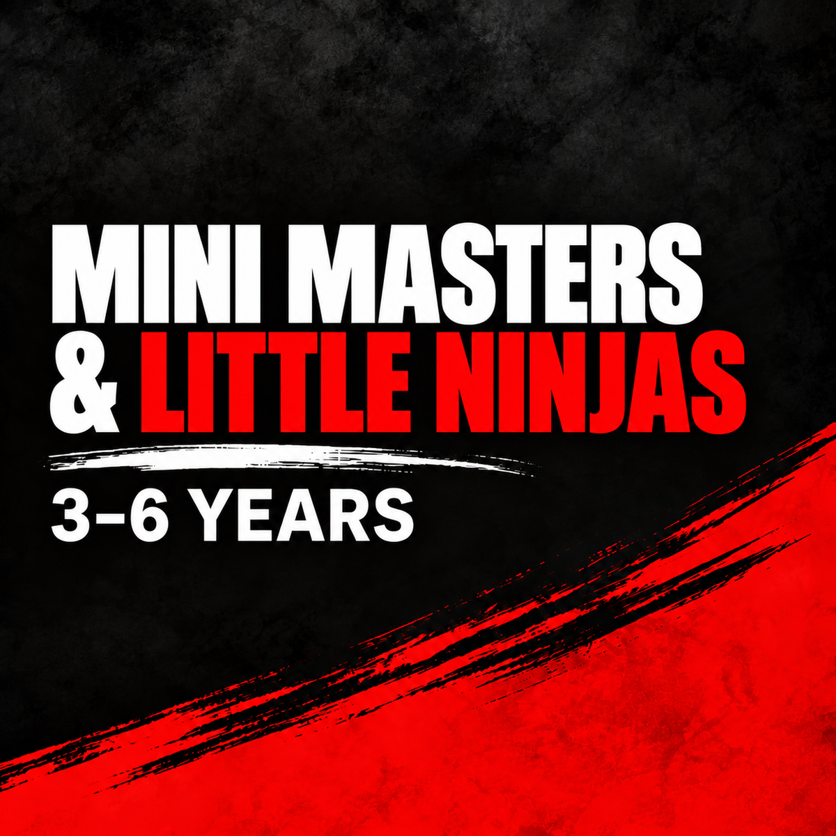 Mini Masters & Little Ninjas