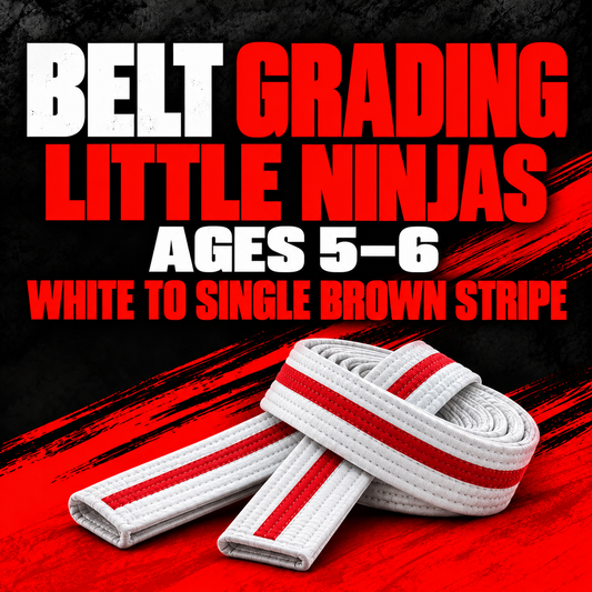 Little Ninjas belt grading, ages 5–6, white to single brown stripe.