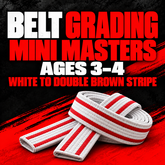 Mini Masters belt grading, ages 3–4, white to double brown stripe.